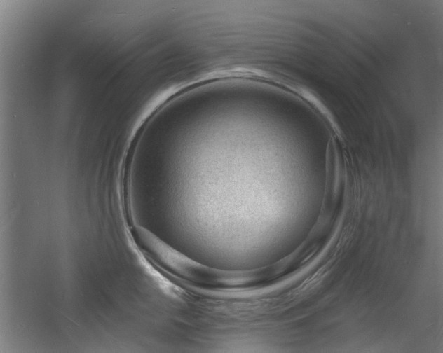 X0000060741054200511101103