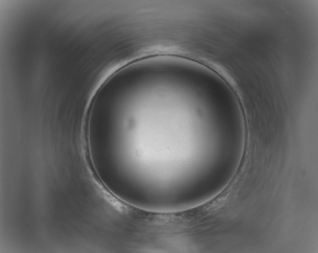 X0000060741056200511101103