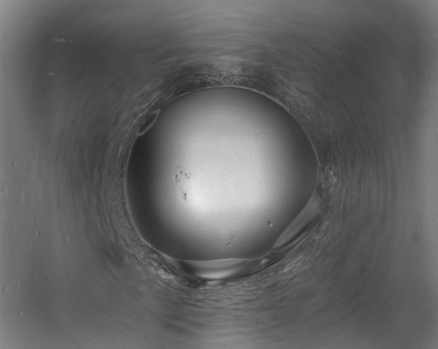 X0000060741057200511101102