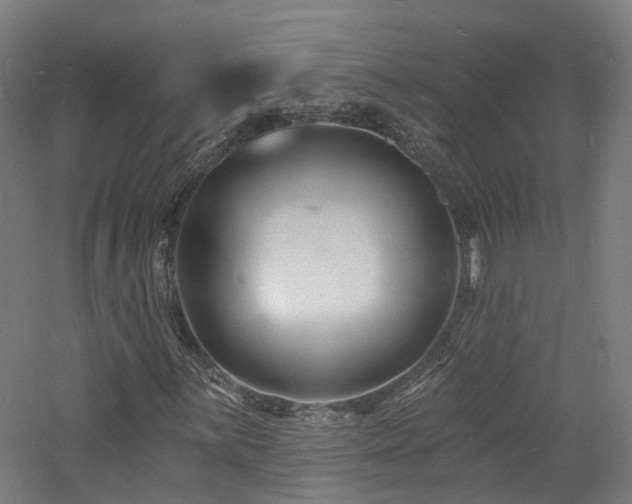 X0000060741059200511101102