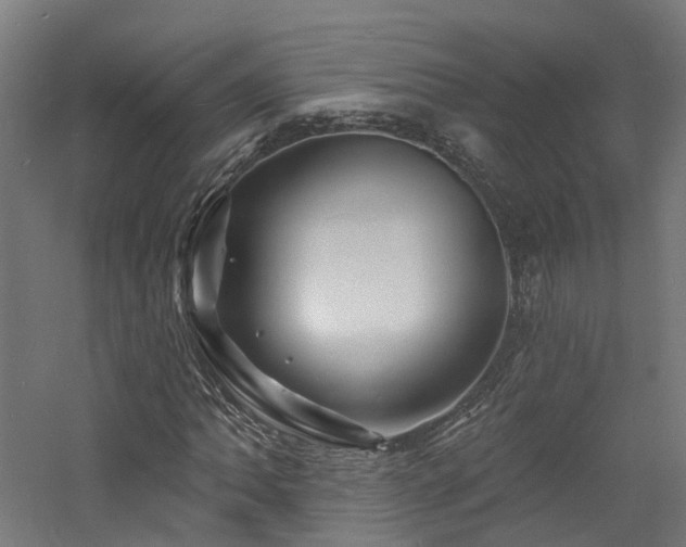 X0000060741062200511101102