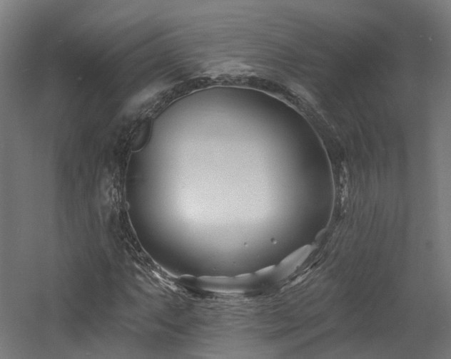 X0000060741063200511101102