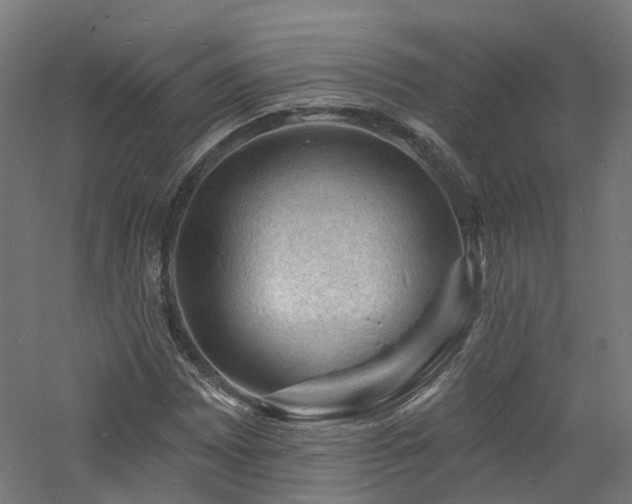 X0000060741065200511101102