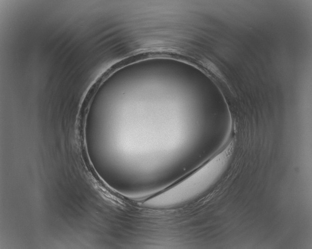 X0000060741068200511101102