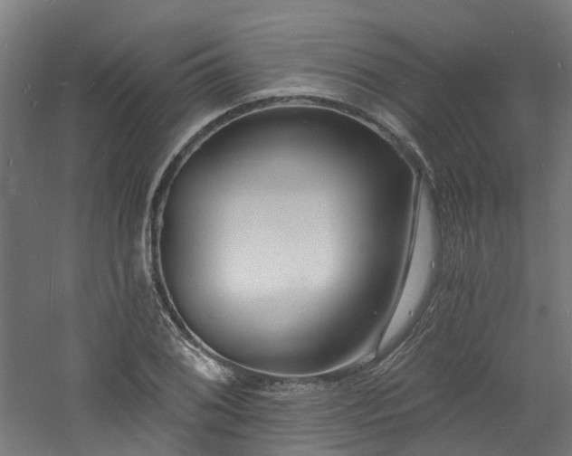 X0000060741076200511101102