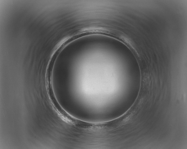 X0000060741082200511101102