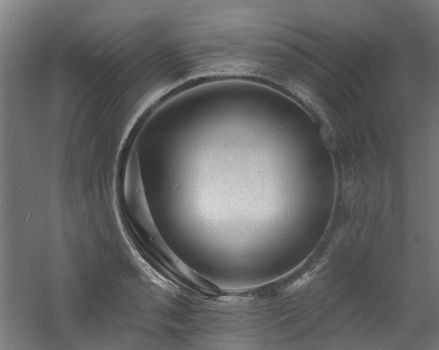 X0000060741085200511101101