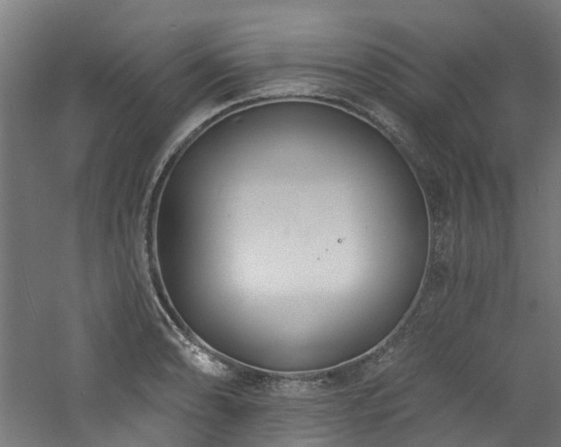 X0000060741086200511101101