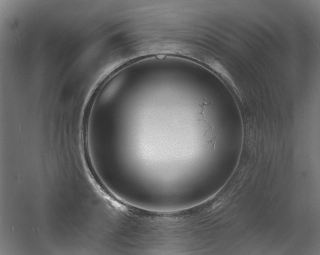 X0000060741088200511101101