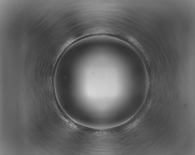 X0000060741089200511101101