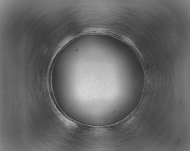 X0000060741090200511101101