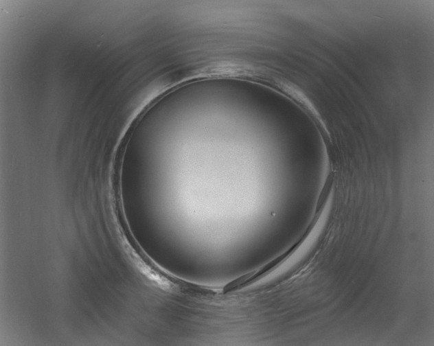 X0000060741091200511101101