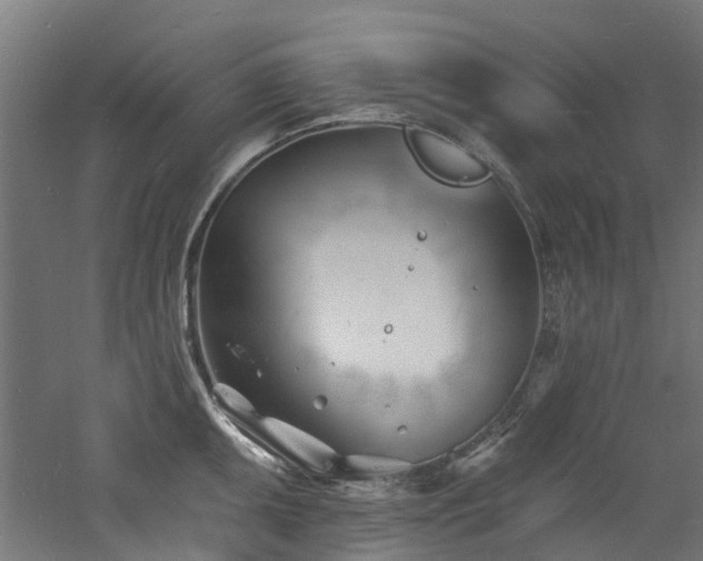 X0000060741095200511101101