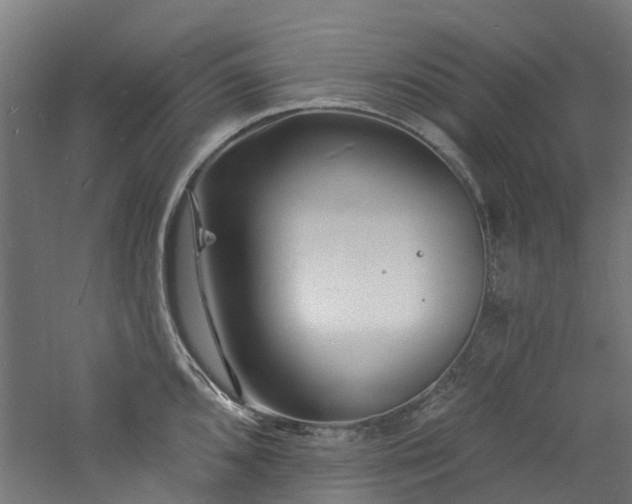 X0000060741096200511101101