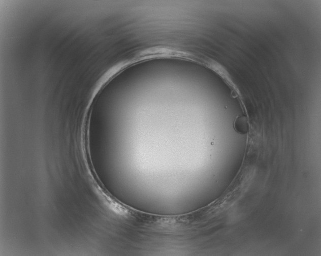 X0000060741098200511101101