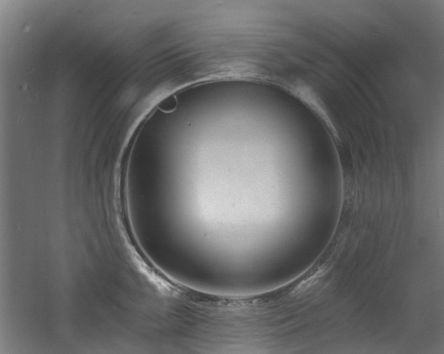 X0000060741099200511101101