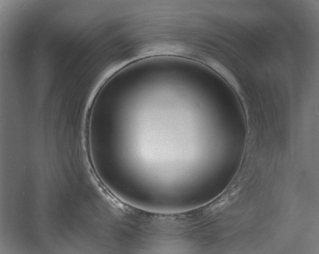 X0000060741104200511101101