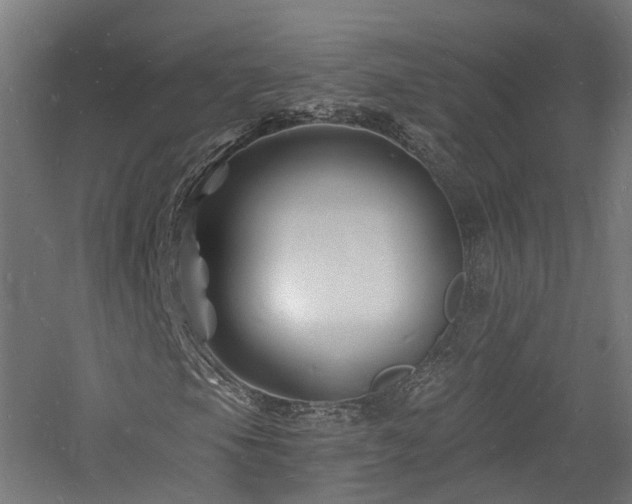 X0000060741105200511101100