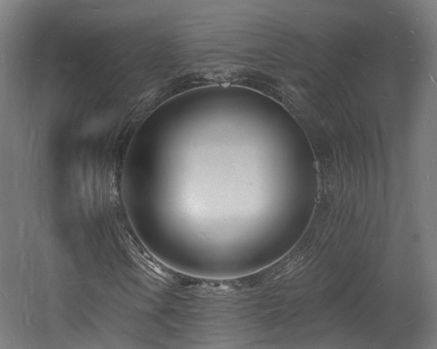 X0000060741106200511101100