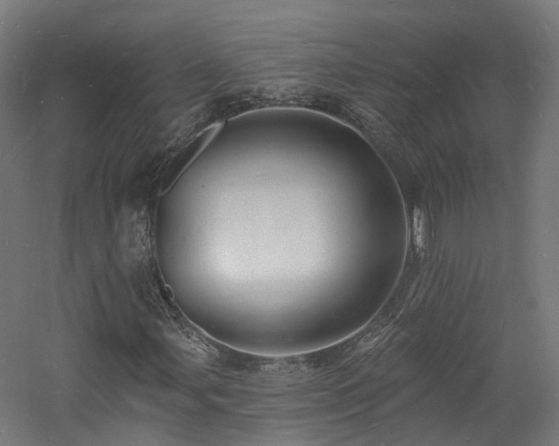 X0000060741107200511101100