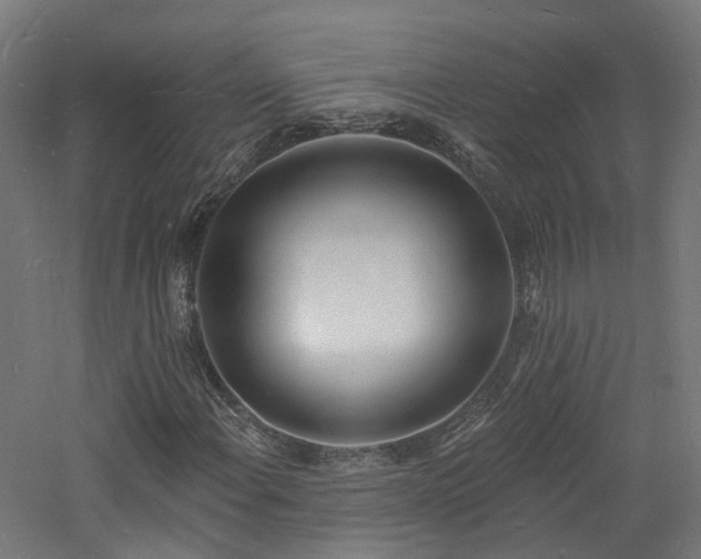 X0000060741108200511101100