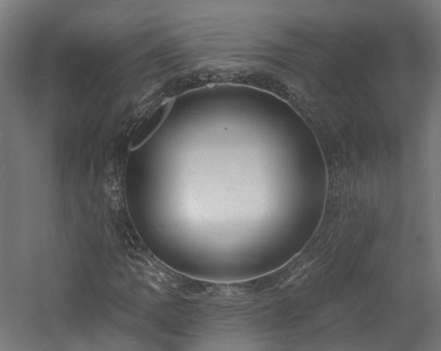 X0000060741109200511101100