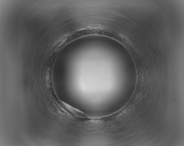 X0000060741110200511101100