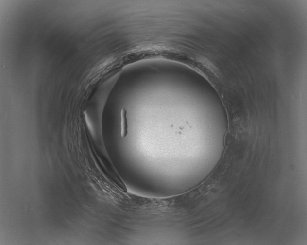 X0000060741111200511101100