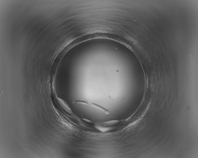 X0000060741113200511101100