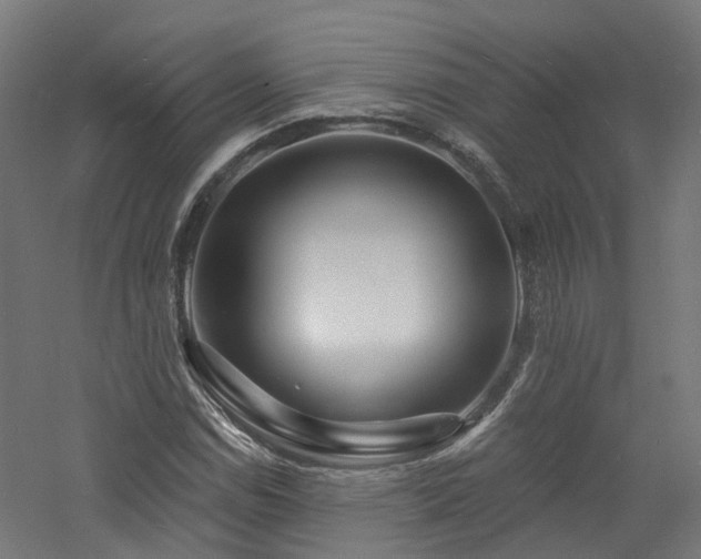 X0000060741114200511101100