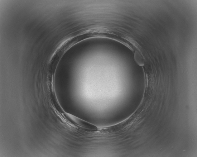 X0000060741115200511101100