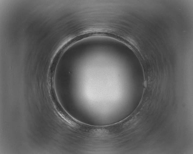 X0000060741119200511101101