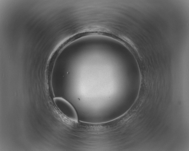 X0000060741120200511101101