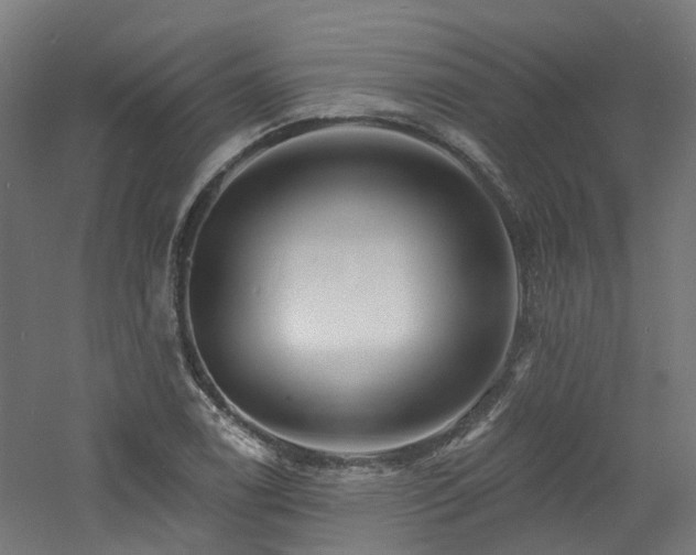 X0000060741122200511101101