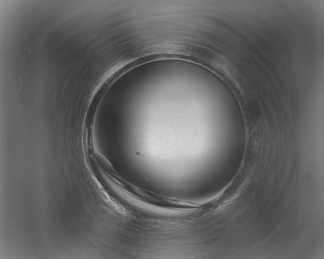 X0000060741125200511101101