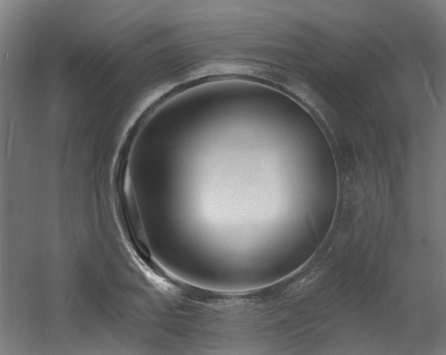 X0000060741127200511101101