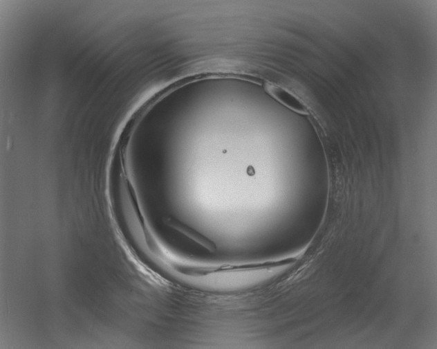 X0000060741128200511101101