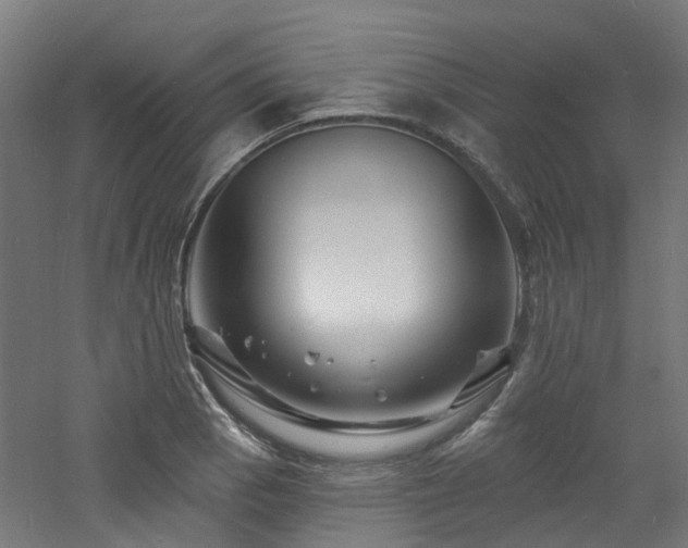 X0000060741129200511101101