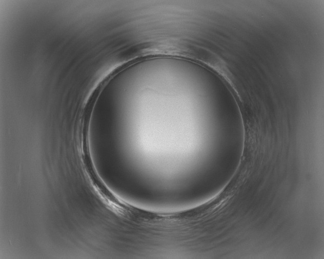 X0000060741131200511101101