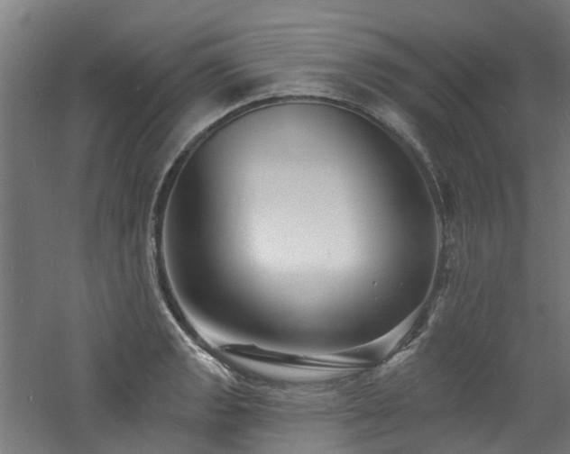 X0000060741133200511101101