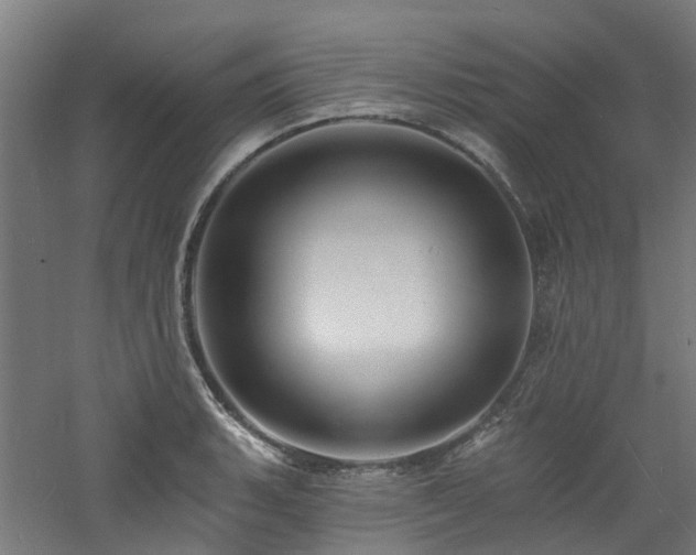 X0000060741135200511101101