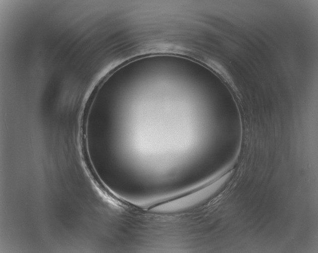 X0000060741136200511101101