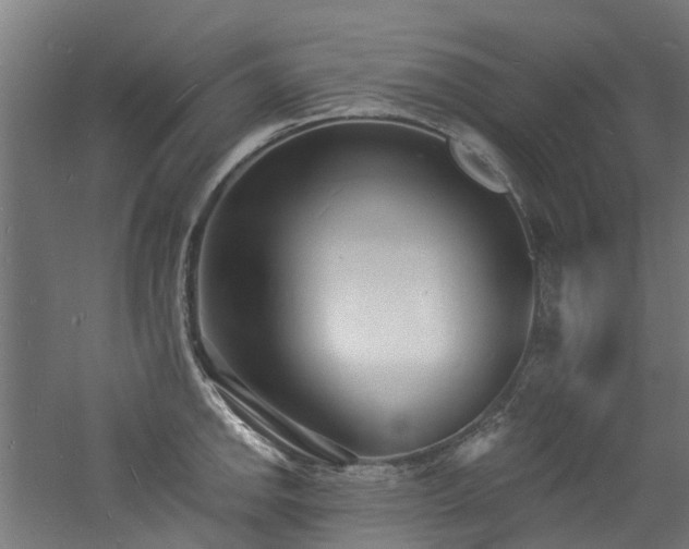 X0000060741142200511101101