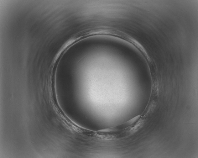 X0000060741146200511101101