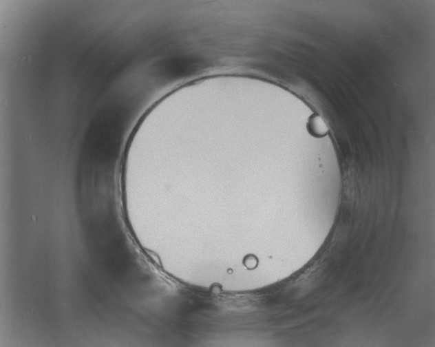 X0000060741150200511101101