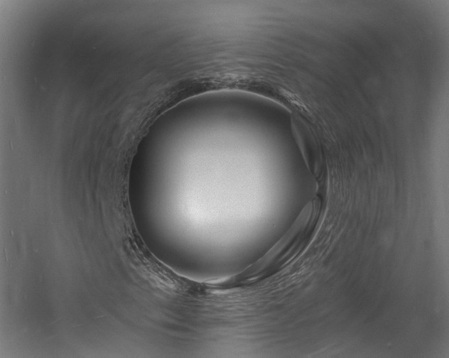 X0000060741153200511101100