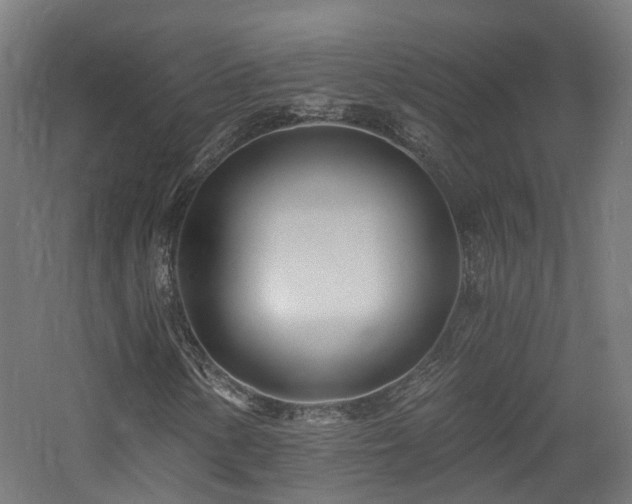 X0000060741154200511101100