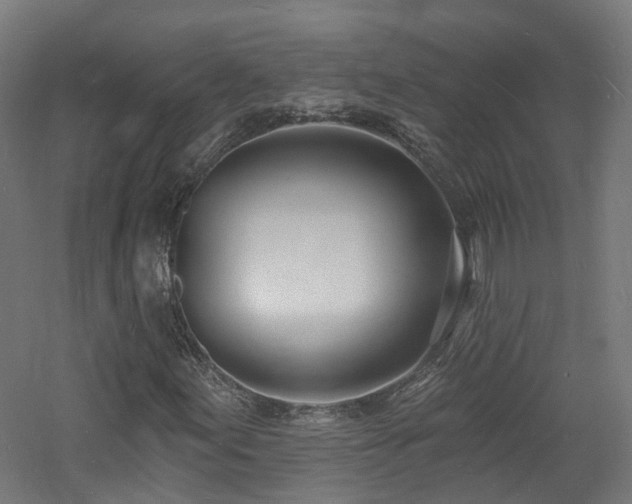 X0000060741155200511101100