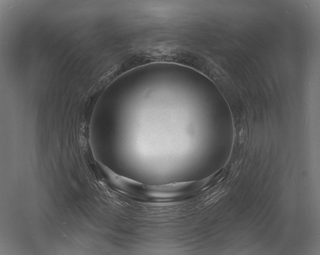 X0000060741156200511101100