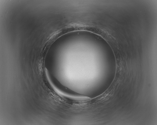 X0000060741157200511101100